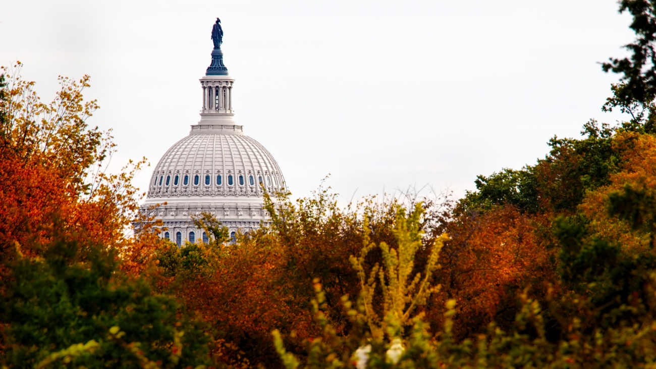 The dome of the US Capitol obscured by the trees of Washington, DC.